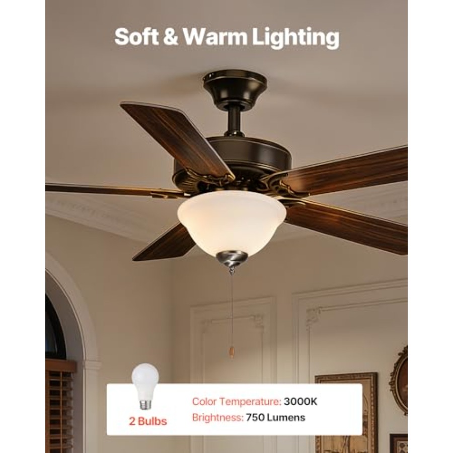 Kit Ventilatore da Soffitto co - Ceiling Fan Light Kit Replacement recensione e prezzo