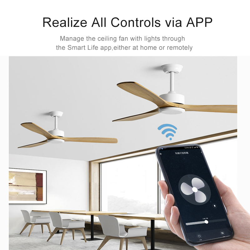 Kit di Controllo Remoto per Ve - Smart Ceiling Fan Alexa Wifi recensione e prezzo