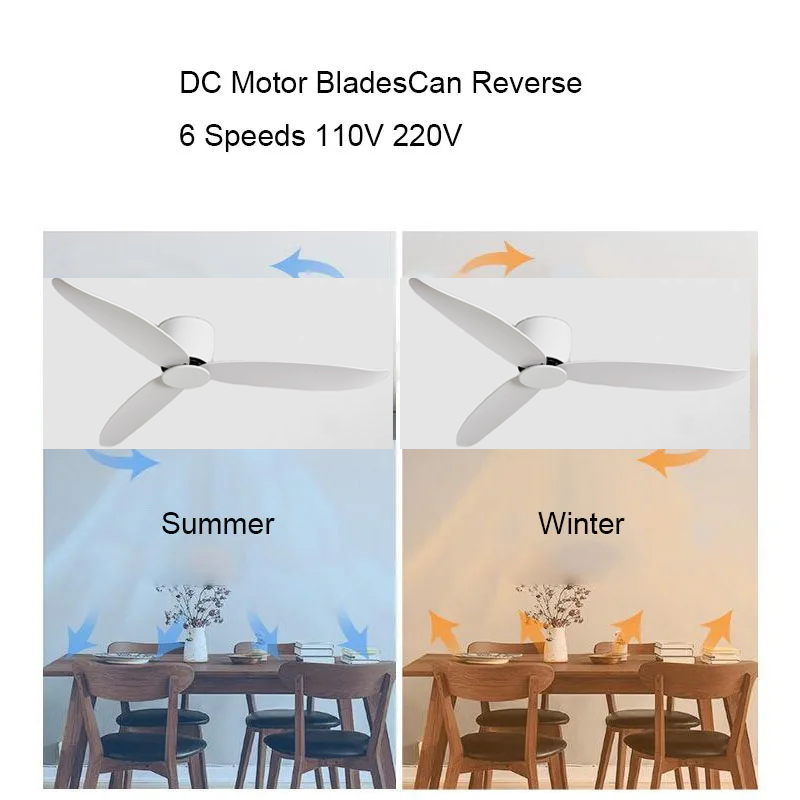 Ventilatore da soffitto Motore - Ceiling Fan Dc Motor 52 Inch recensione e prezzo
